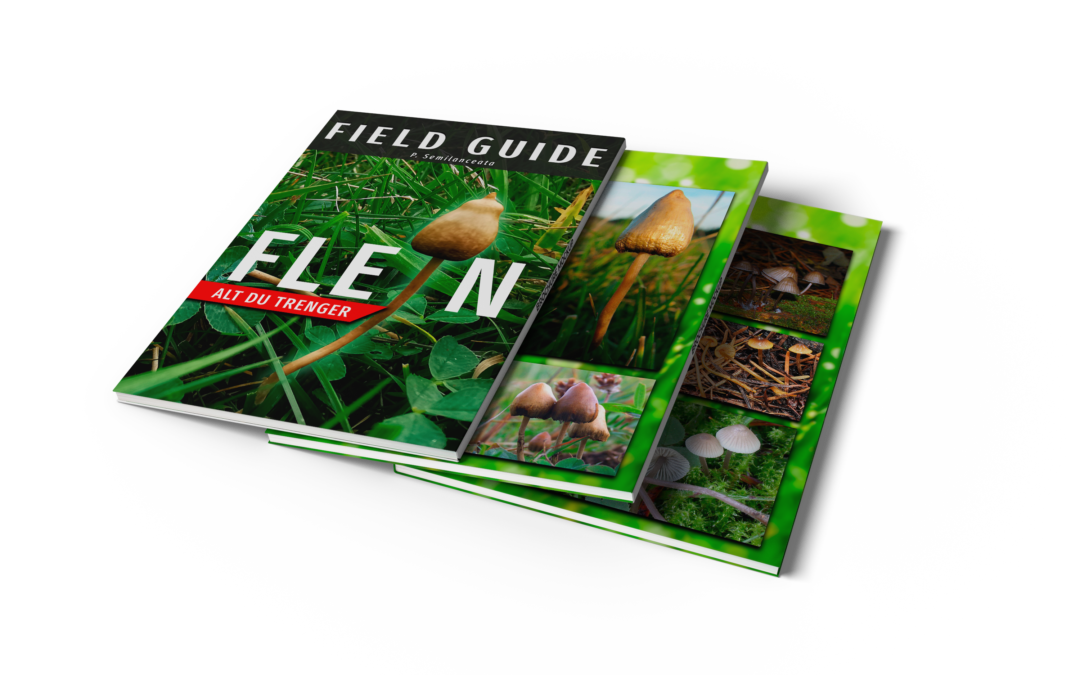 Field Guide for Flein
